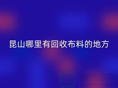 常熟-张家港-如皋-苏州-吴江-昆山哪里有星空手机入口布料的地方