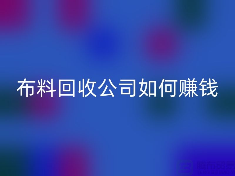 布料乐玩手机网页版登录入口公司如何赚钱-小白编辑解说-服装面料乐玩手机网页版登录入口公司