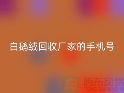 羽绒乐玩手机网页版登录入口基地的位置，鸭绒乐玩手机网页版登录入口行情报价，以及白鹅绒乐玩手机网页版登录入口厂家的手机号