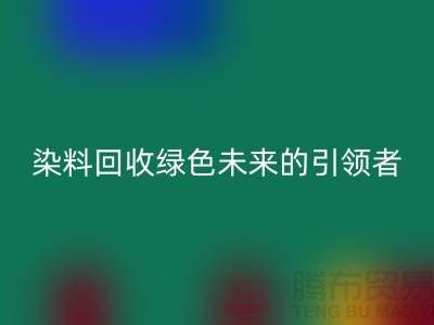 库存染料乐玩手机网页版登录入口厂家的创新之路：绿色未来的引领者