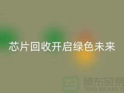 开启绿色未来：电子芯片乐玩手机网页版登录入口厂家的创意革命