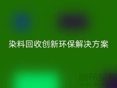 库存染料乐玩手机网页版登录入口厂家的领导者：创新环保解决方案
