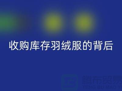 收购库存羽绒服的背后隐藏着巨大的商机-二手羽绒服乐玩手机网页版登录入口市场