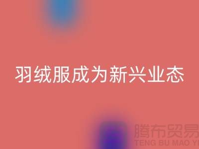 乐玩手机网页版登录入口库存羽绒服成为新兴业态-库存羽绒服收购价格以及地址