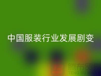 中国服装行业发展剧变-成败重要途径-上海库存服装乐玩手机网页版登录入口公司