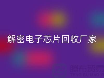 解密电子芯片乐玩手机网页版登录入口厂家：环保技术的领航者