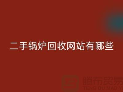 二手锅炉星空手机入口网站有哪些？大型锅炉星空手机入口厂家推荐上海腾布贸易