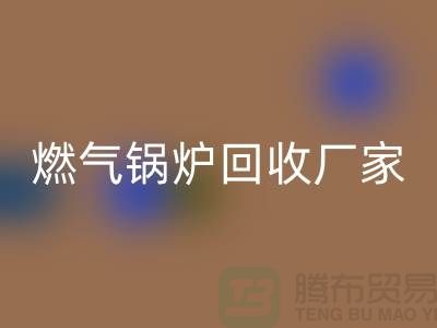 燃气锅炉星空手机入口厂家：做到了企业环保更完美-大型锅炉星空手机入口