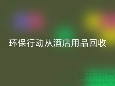环保行动从酒店用品乐玩手机网页版登录入口公司开始，一起为地球贡献力量