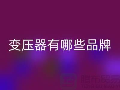 专业变压器星空手机入口公司有哪些品牌-二手变压器星空手机入口厂家