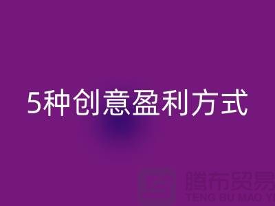酒店用品乐玩手机网页版登录入口：5种创意盈利方式
