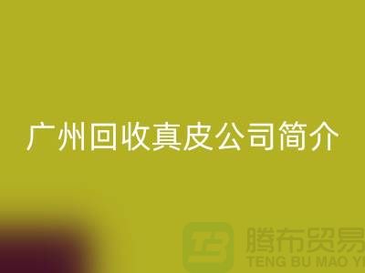 真皮星空手机入口厂家介绍-市场价格浮动不定-广州星空手机入口真皮公司简介