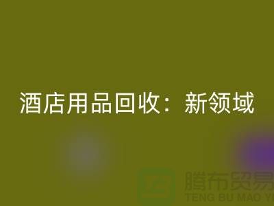 酒店用品乐玩手机网页版登录入口：新领域探索与盈利模式创新