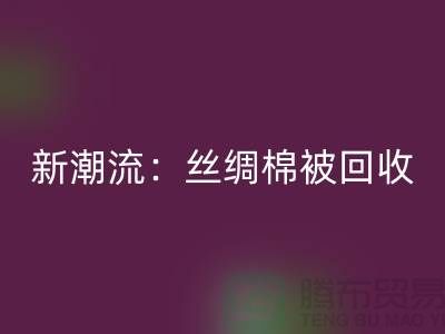 环保新潮流：丝绸棉被乐玩手机网页版登录入口，价格让您惊喜连连！