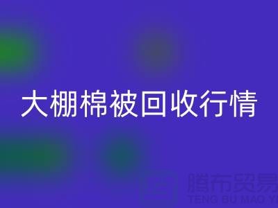 大棚棉被乐玩手机网页版登录入口平台的最佳价格大揭秘，省时省力