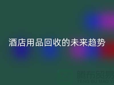 创意变现：酒店用品乐玩手机网页版登录入口的未来趋势