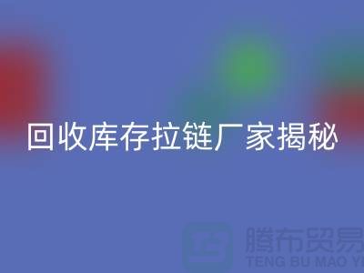 乐玩手机网页版登录入口库存拉链揭秘：如何选择合适的拉链款式