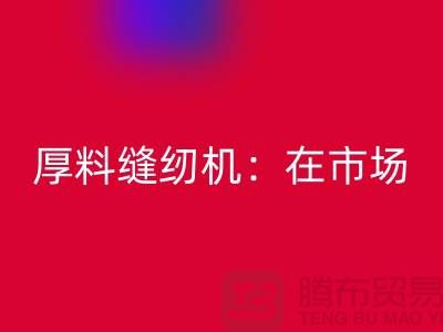 厚料缝纫机：在市场上的细节体现-上海星空手机入口缝纫机厂家