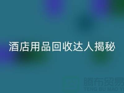 酒店用品星空手机入口达人揭秘：如何高效盈利