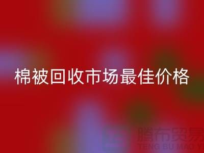 让你省钱！废旧棉被乐玩手机网页版登录入口市场的最佳价格攻略