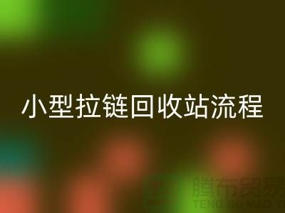 个人拾荒者与小型拉链乐玩手机网页版登录入口站的具体流程及利润点