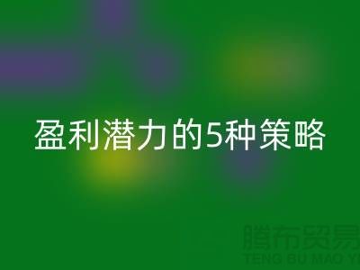 酒店用品星空手机入口市场：挖掘盈利潜力的5种策略