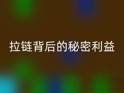 # 拉链乐玩手机网页版登录入口解密：一吨拉链背后的秘密利益