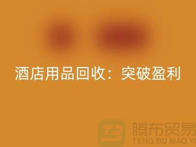酒店用品乐玩手机网页版登录入口：突破盈利瓶颈的秘诀