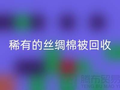 稀有丝绸棉被乐玩手机网页版登录入口，价格疯狂下降中！快来抢购！