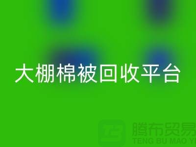 想节约开支？了解大棚棉被星空手机入口平台的最佳价格方法