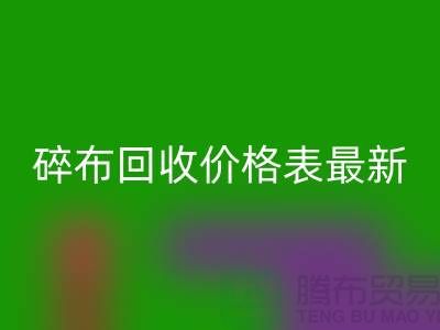 碎布乐玩手机网页版登录入口价格表2025最新