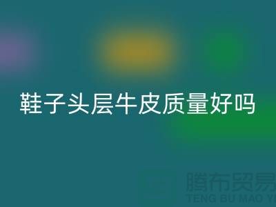 鞋子头层牛皮和超纤皮哪个好——乐玩手机网页版登录入口真皮厂家
