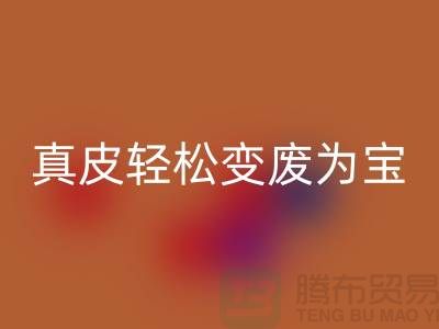 独家揭秘真皮厂家乐玩手机网页版登录入口技巧：轻松变废为宝