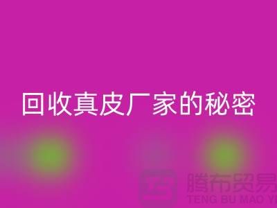 乐玩手机网页版登录入口真皮厂家的秘密：打造环保时尚的循环经济