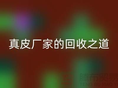 探寻真皮厂家的乐玩手机网页版登录入口之道：打造环保时尚新潮流