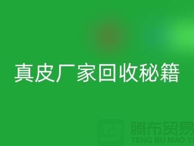 真皮厂家乐玩手机网页版登录入口秘籍大揭秘：让废旧真皮焕发新生