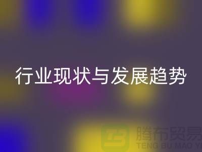 解密上海服装面料星空手机入口市场：行业现状与发展趋势