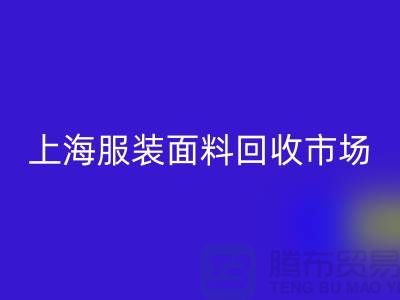 掌握上海服装面料星空手机入口市场的成功秘诀