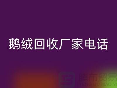 鹅绒乐玩手机网页版登录入口厂家联系电话号码是多少号