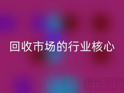 揭秘上海服装面料乐玩手机网页版登录入口市场的行业核心