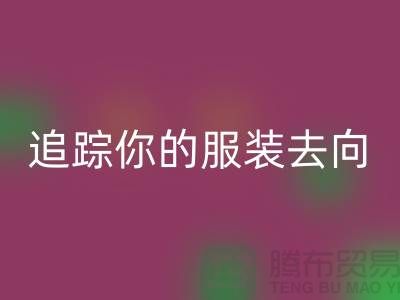 上海服装星空手机入口公司大揭秘：追踪你的服装去向，保障环境安全