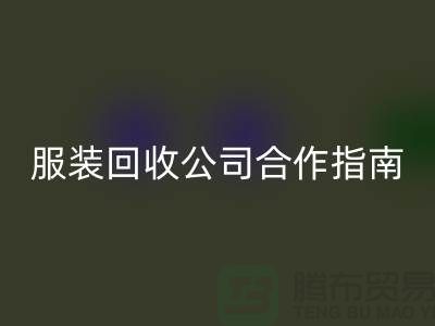 上海服装星空手机入口公司合作指南：如何确保隐私安全及信息保密