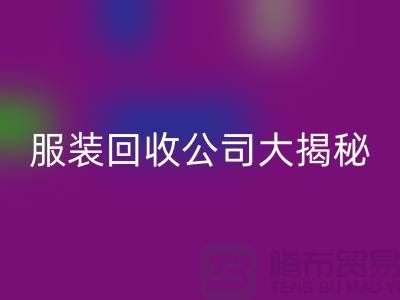 上海服装星空手机入口公司大揭秘：如何挑选值得信赖的合作伙伴