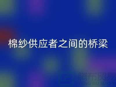 上海棉纱星空手机入口公司：棉纱废料的需求者和供应者之间的桥梁