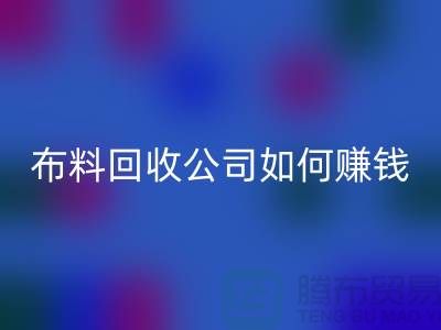 布料星空手机入口公司如何赚钱？方式方法-浙江面料星空手机入口市场