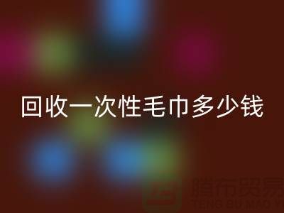 乐玩手机网页版登录入口一次性毛巾多少钱一吨