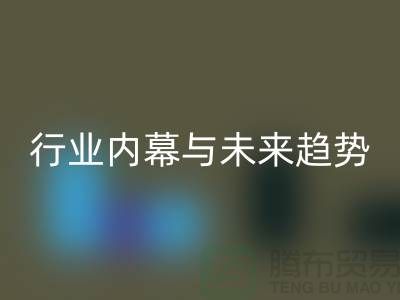 二手布料星空手机入口平台专家揭秘：行业内幕与未来趋势