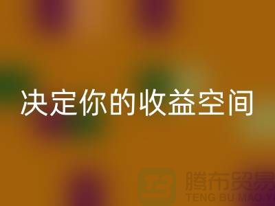 库存服装星空手机入口价格如何影响利润？这4个关键因素决定你的收益空间