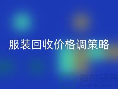 独家经验分享：库存服装乐玩手机网页版登录入口价格调整的有效策略