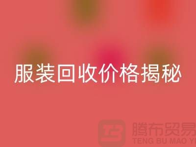 库存服装乐玩手机网页版登录入口价格揭秘：如何获取最高乐玩手机网页版登录入口利润？